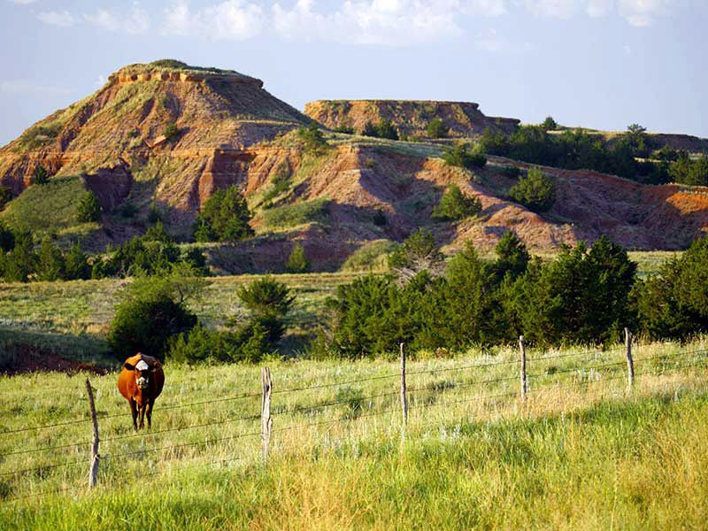 Gypsum Hills Scenic Drive
