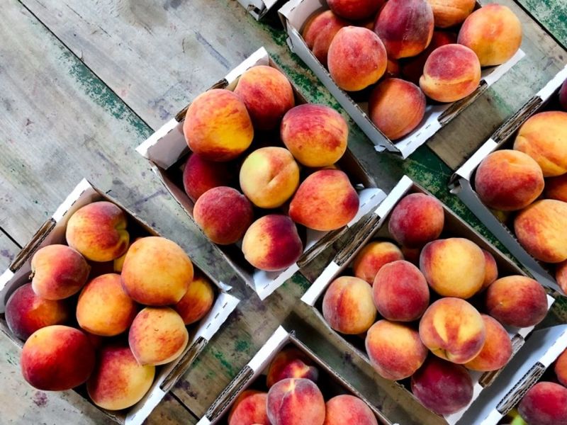 Farm stands and roadside markets never disappoint