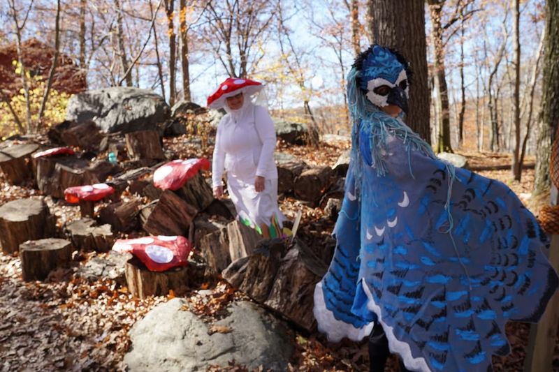 Take Advantage of Excellent Photo Opportunities