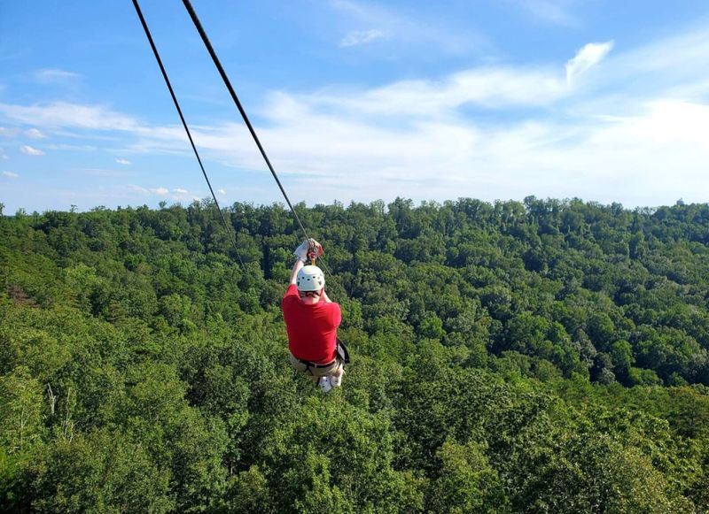 Go Ziplining at Screaming Eagle Aerial Adventures
