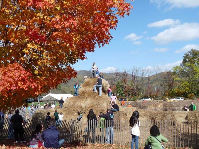 Experience a Family-Friendly Atmosphere at the Apple Harvest Festival