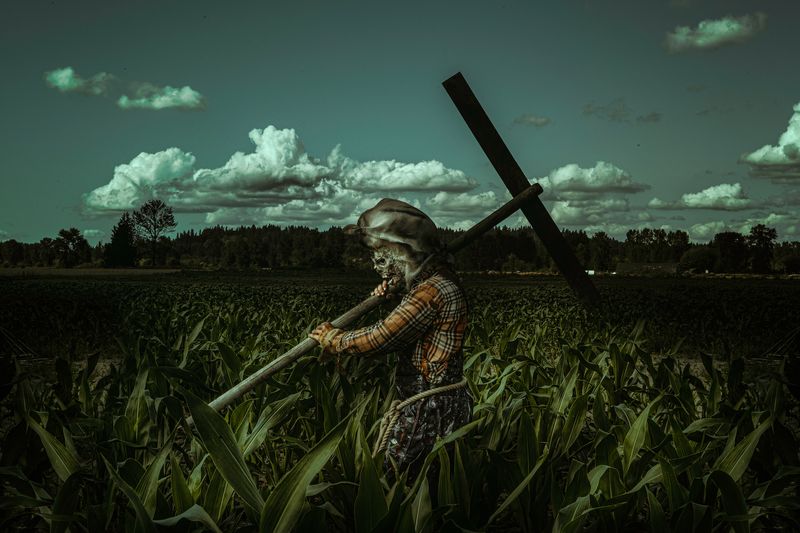 Enjoy a Lively Midway Between Scares