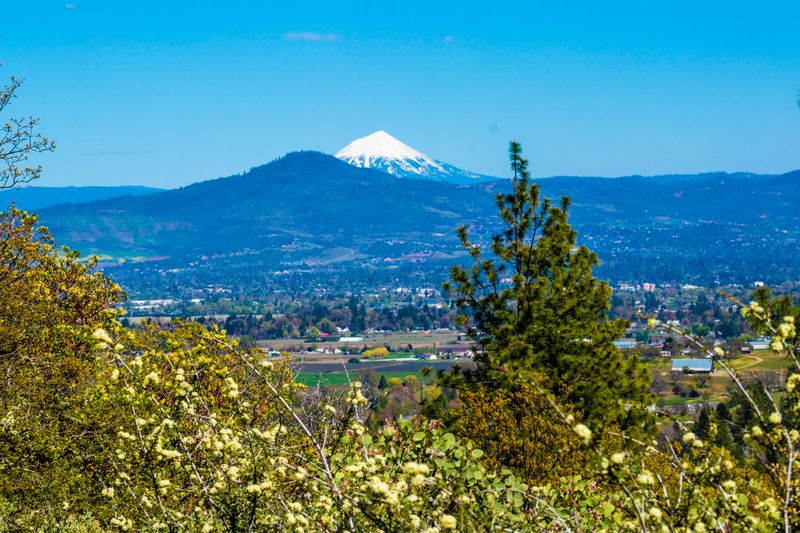 Hike the Jacksonville Woodlands Trails