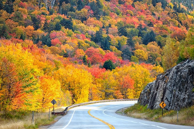 Perfect Stop on Your Fall Coastal Drive