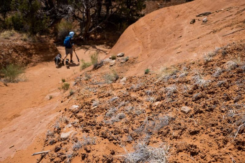 Fragile Landscapes and Responsible Travel Costs