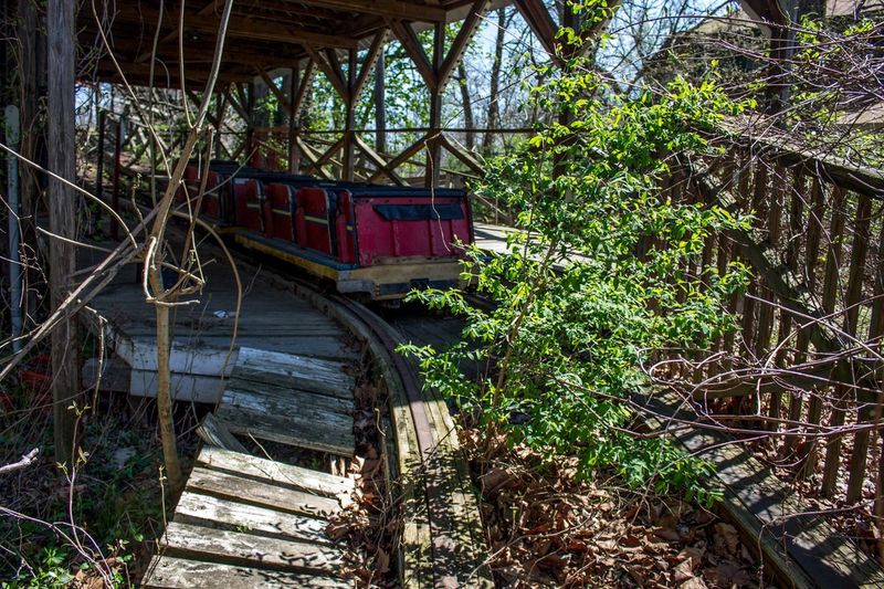Nature's Slow Reclamation of the Grounds
