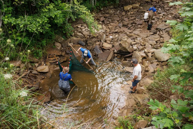 Locals Fighting for Respectful Tourism