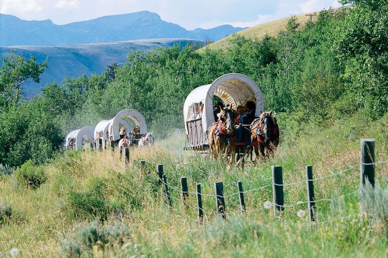 Original Chuck Wagon Experience