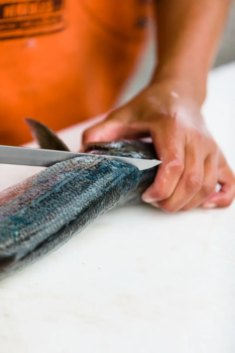 Seasonal Specials and Catch-of-the-Day Experiences