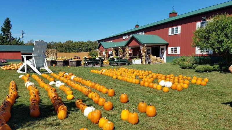The 90-Foot Mega Slide