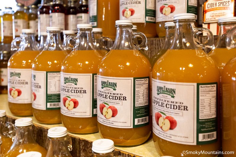 Fresh-Pressed Cider