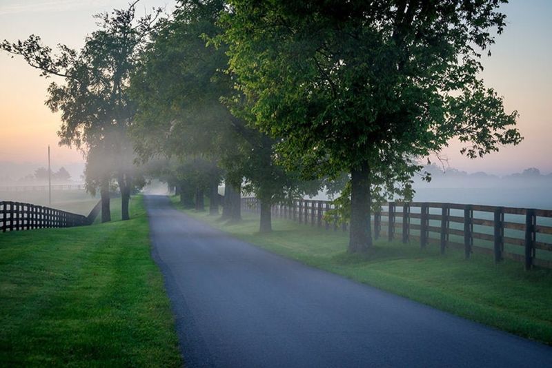 Enjoy the Bluegrass Scenery