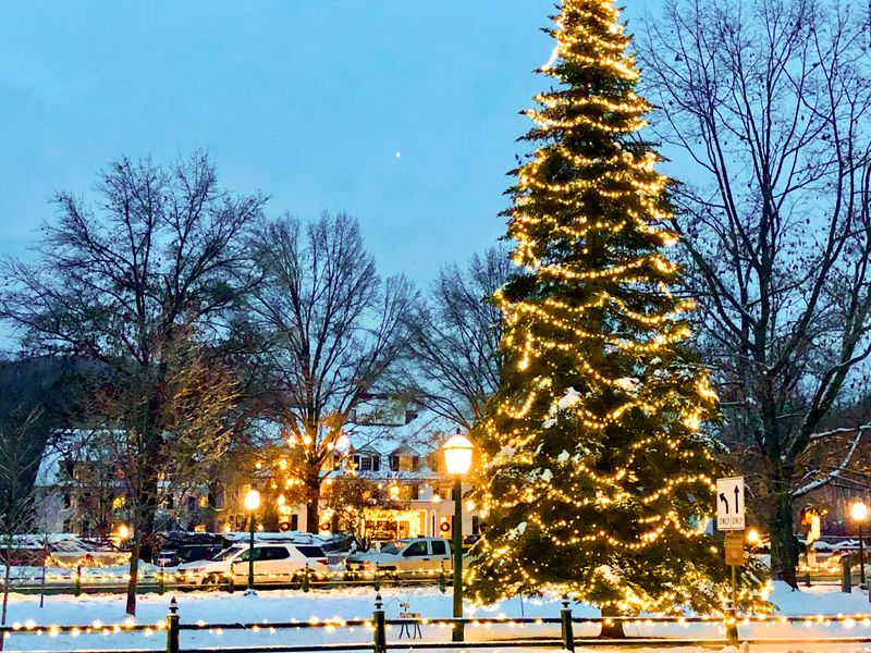 Snowy Scenery Straight from a Winter Wonderland