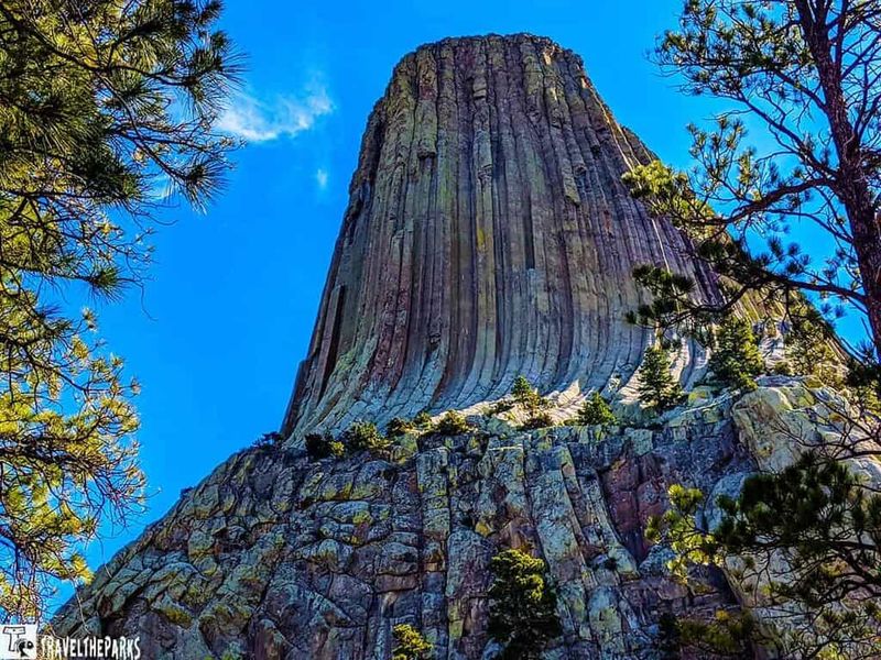 Striking, Otherworldly Appearance