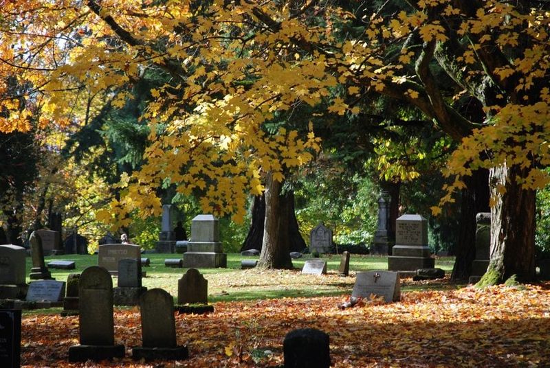 Graveyards Are for Mourning, Not Hunting
