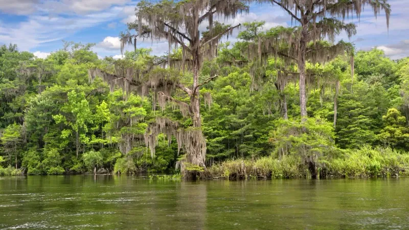 The Wakulla Volcano That Wasn’t