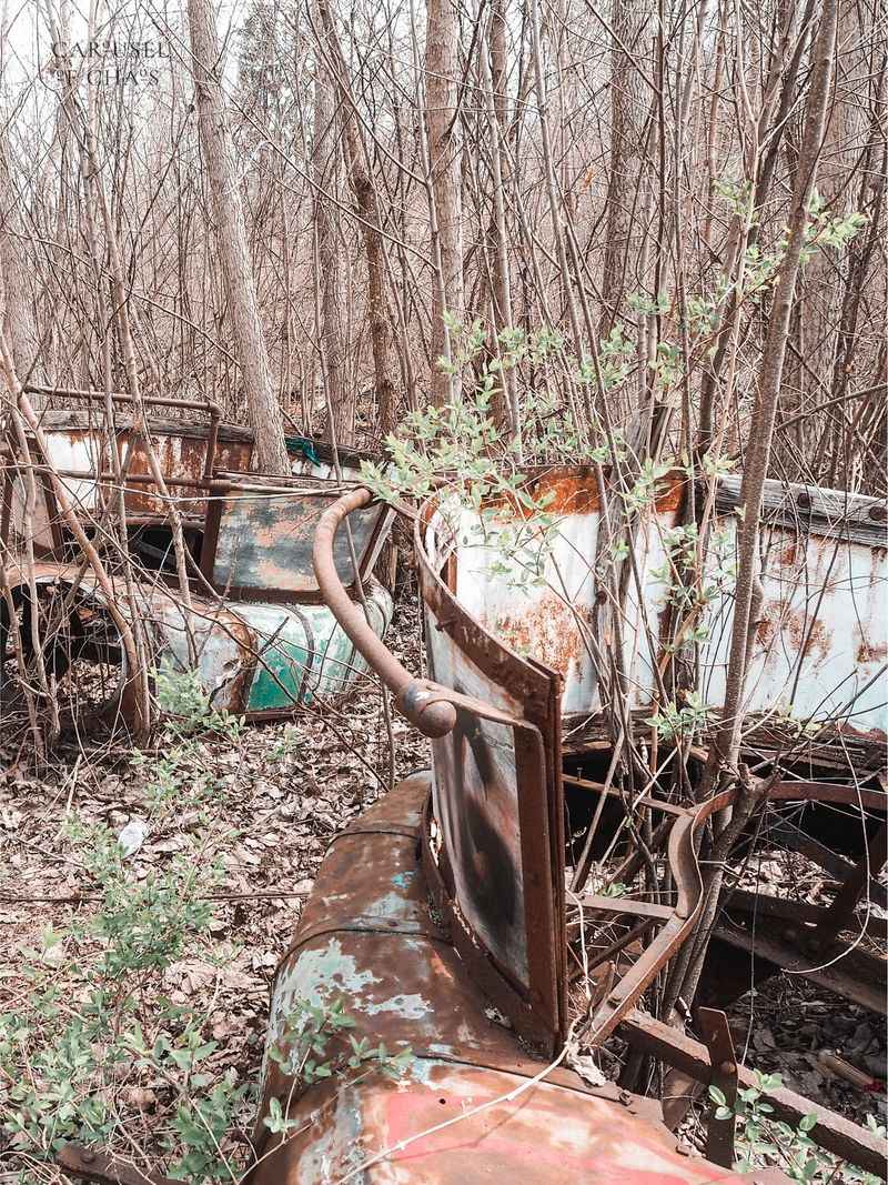 Preserving the Ferris Wheel