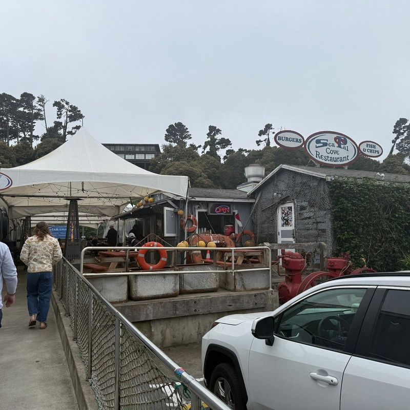Sea Pal Cove, Fort Bragg