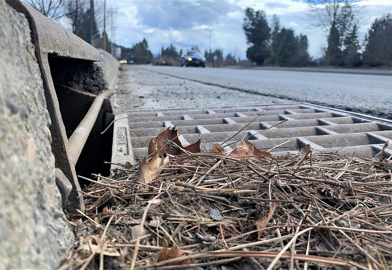 Illegal To Sweep Debris Into The Street