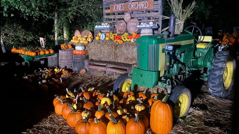 Jones Orchard, Fall Fun