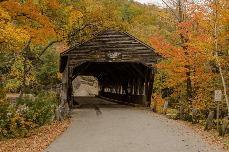 Albany Covered Bridge and Surroundings