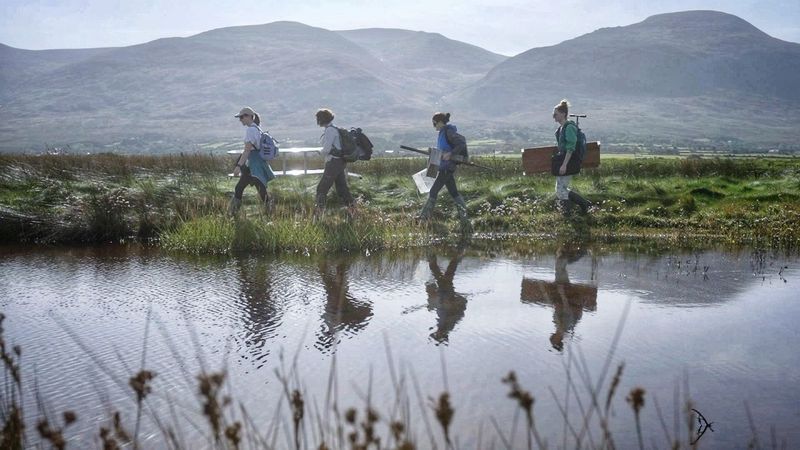Cutting Through Coastal Marshes