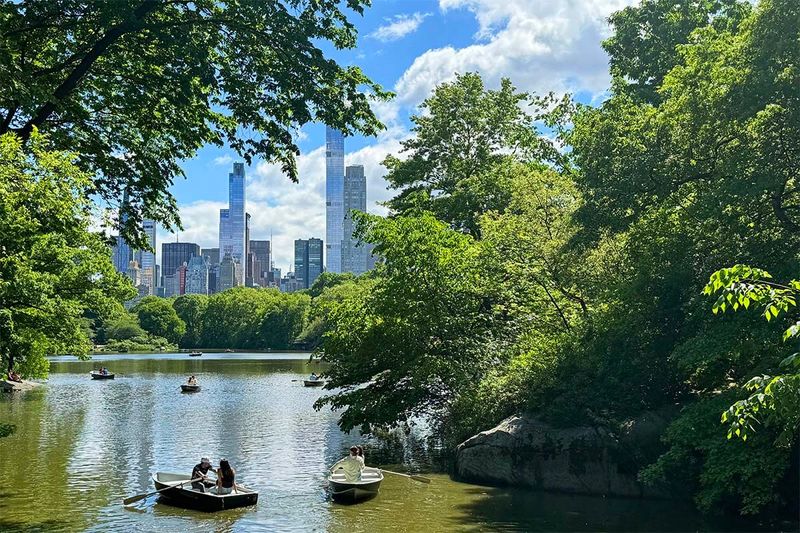 Central Park Needs A Full Day, Not An Hour
