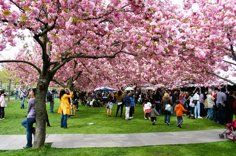 Seasonal Festivals Drawing Visitors Statewide