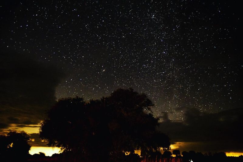 Kissimmee Prairie Preserve State Park