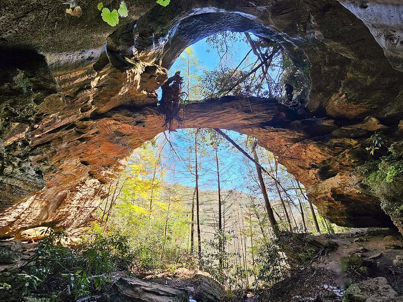 Red River Gorge: Nature's Masterpiece