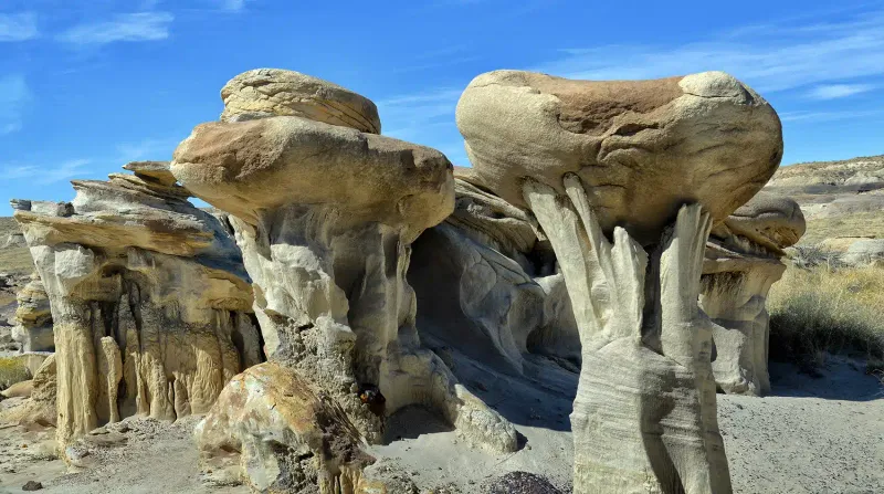 Bisti/De-Na-Zin Wilderness