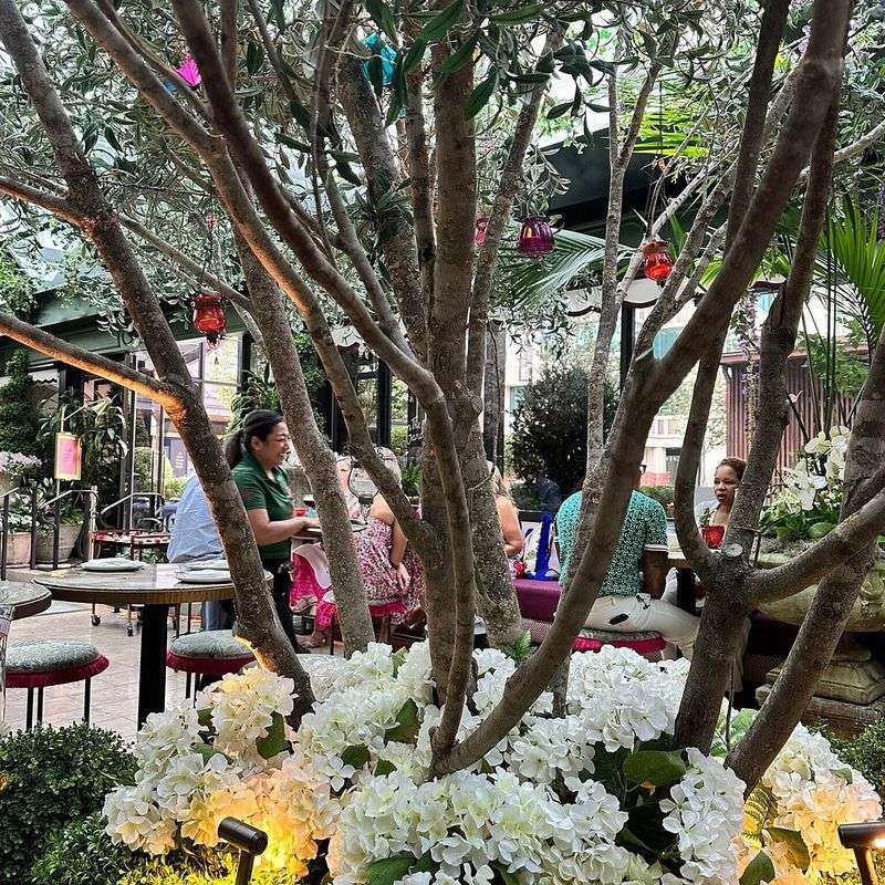 The Hummingbird Tearoom & Bakery: Garden-to-Table Elegance