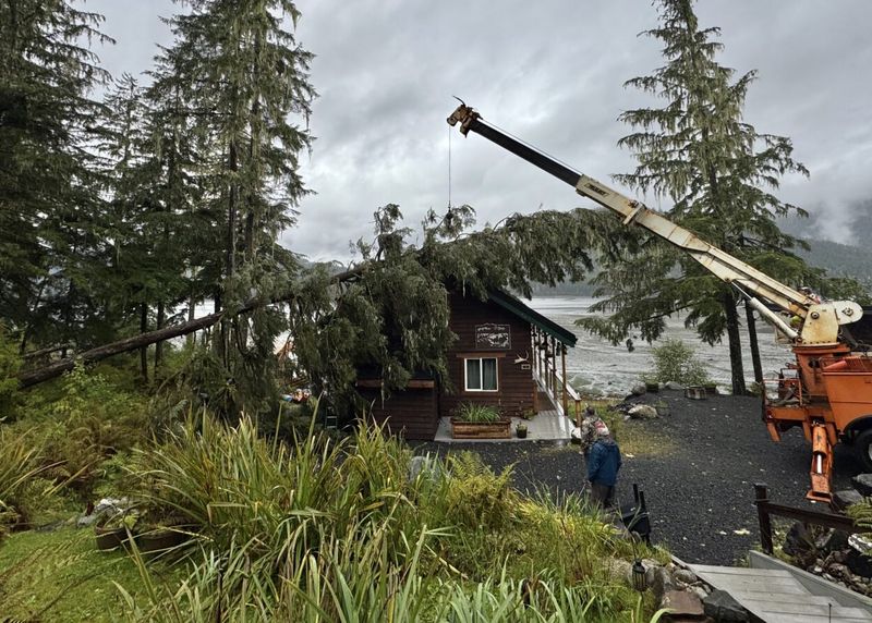 Potential For Property Damage