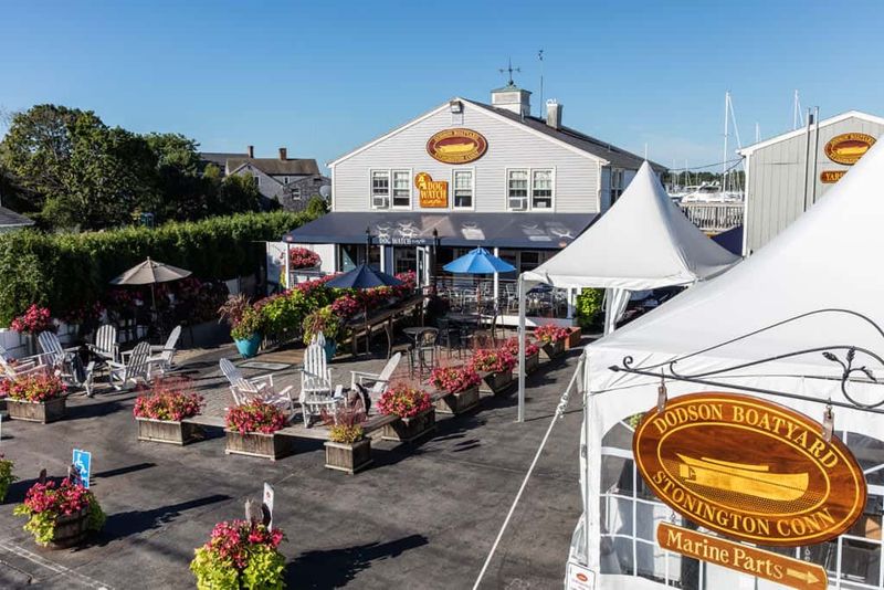Dog-Friendly Patio Seating