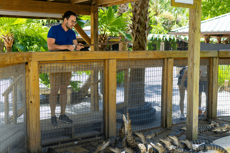 Wildlife Behavior Altered by Feeding and Harassment