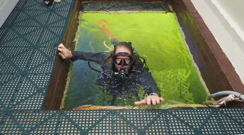The Check-In Process: Scuba Certification Required