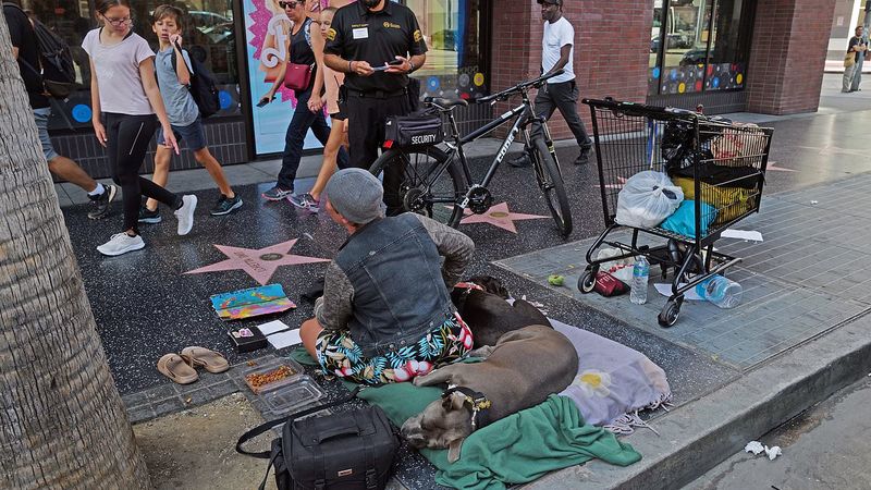 Hype vs. Reality: Hollywood Boulevard 