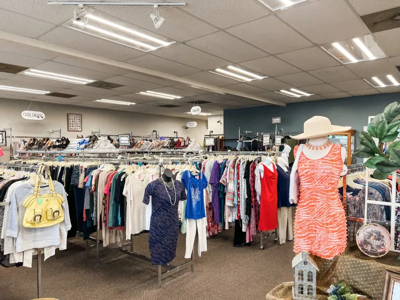 Shelves Of Everyday Treasures