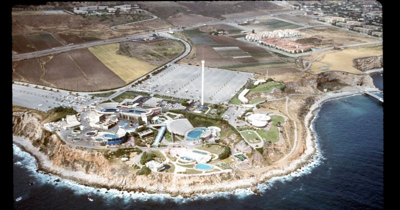 Marineland Of The Pacific