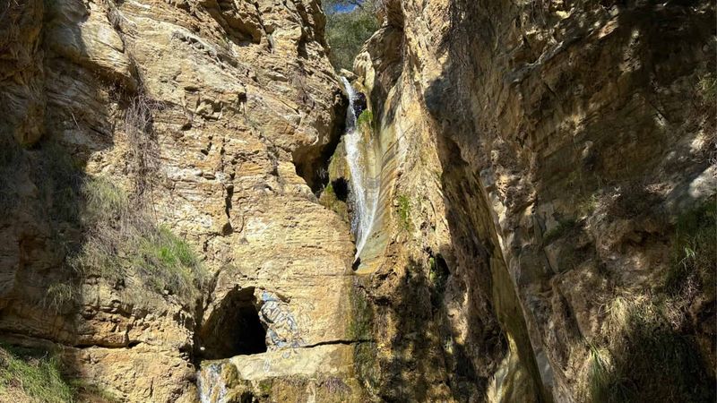 Black Star Canyon (Orange County)