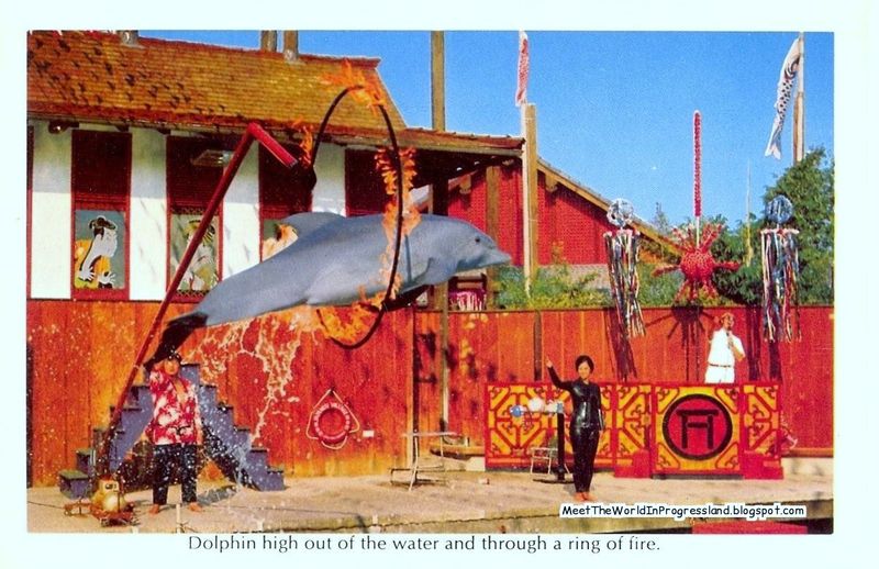 The Sea Theater's Aquatic Shows