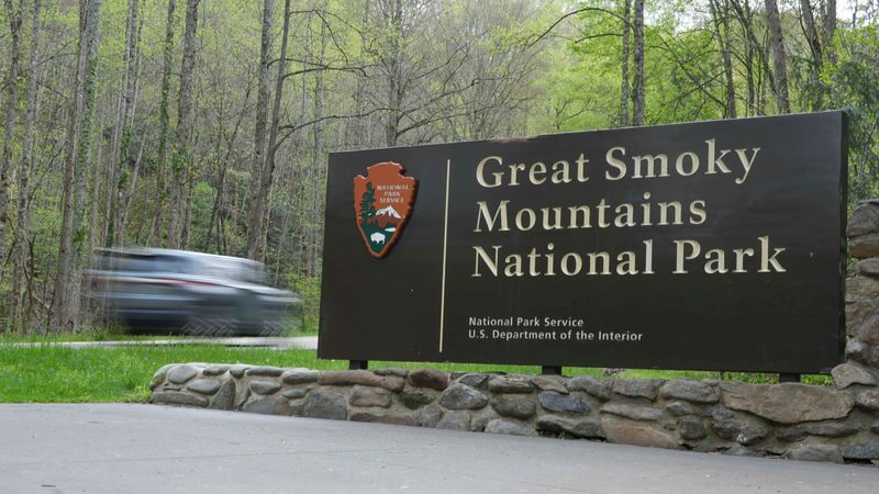 No Entrance Fee, No Limits