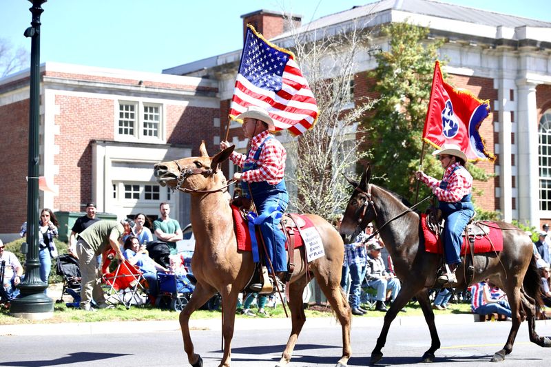 Mule Day – Columbia