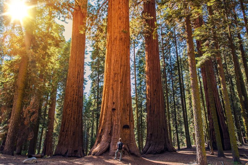 National Parks That Redefine the Outdoors