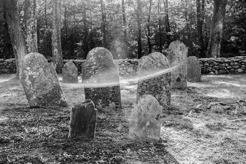 The Legend Says Spirits Gather After Dark