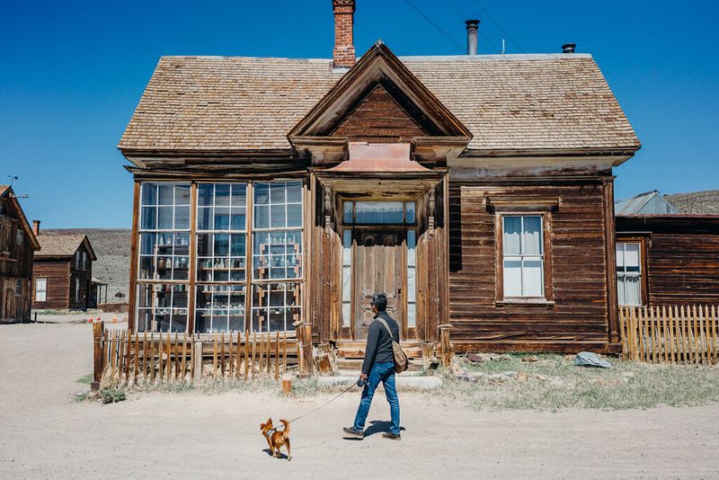 Plan Your Visit: What to Know Before You Go