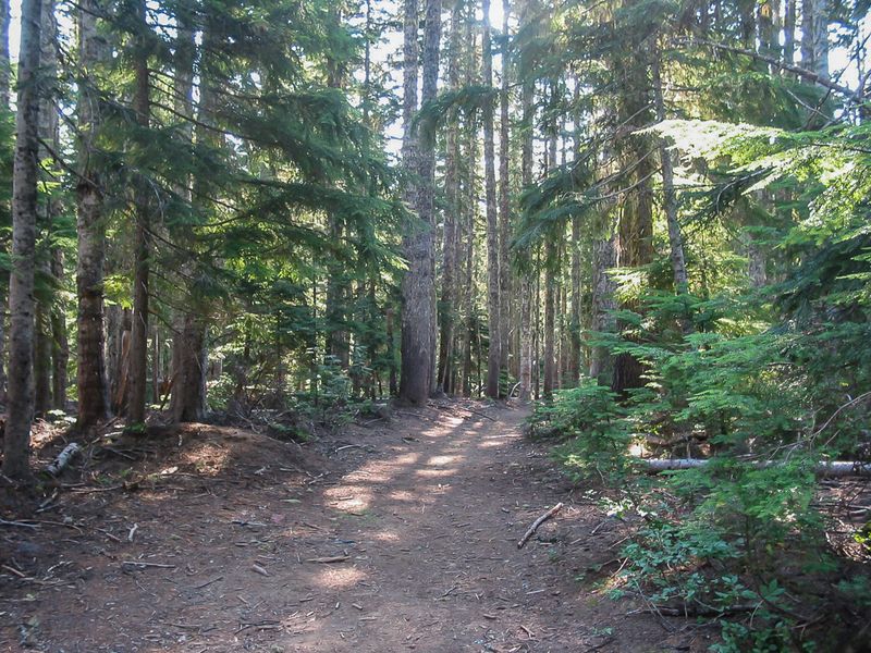 The Bewitching Charm of Barlow Road