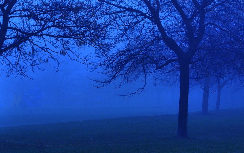 The Real Identity of Blue Mist Road