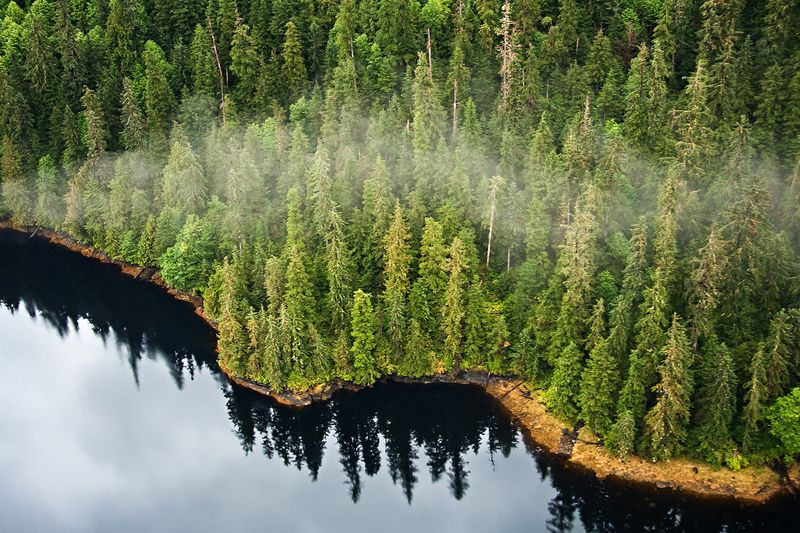 Ketchikan’s Rainforest Reality