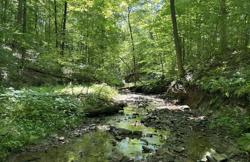Raccoon Creek Park Lost Grounds
